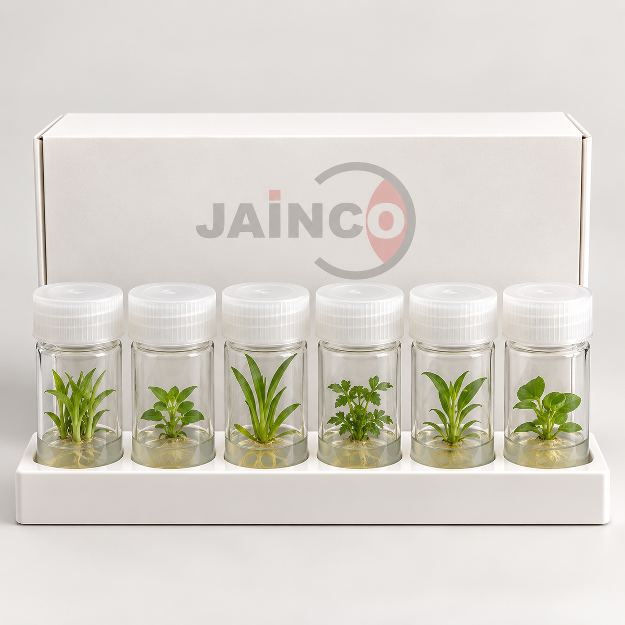 Plant Culture Set